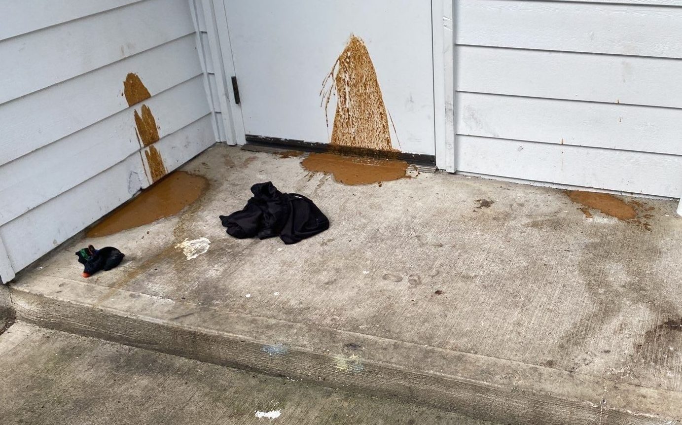human poop-before-pic