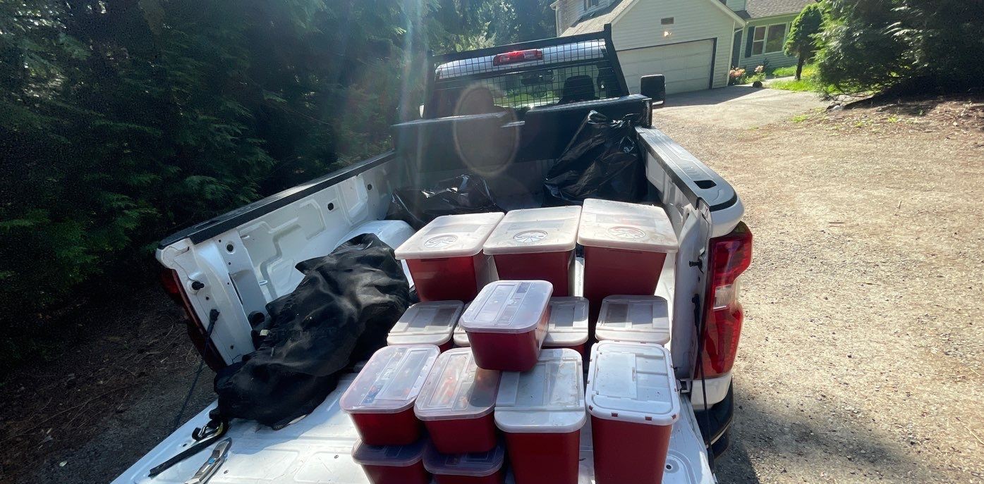 sharps-containers-pic